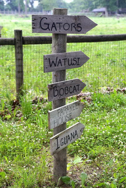 Deer Forest - 2015 Photos From Mlive (newer photo)